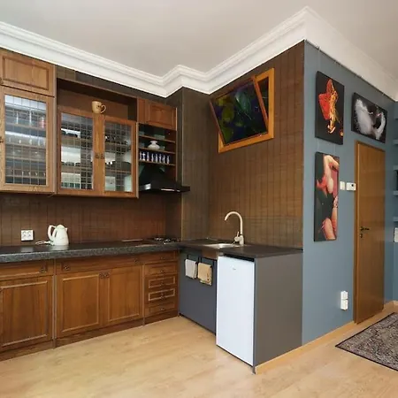 The Great American Gallery Apartment Tallinn